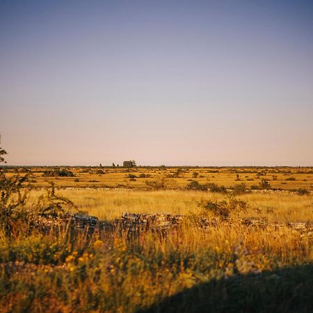 Stuga Med Panoramautsikt, Paradis Foer Fagelskadare Och Vandrare, Sjaelvstaed Efter Besoek Mörbylånga Exteriér fotografie
